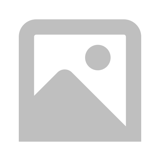 Chestnut Lodger House