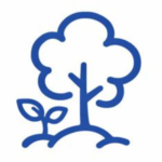 Reforestation