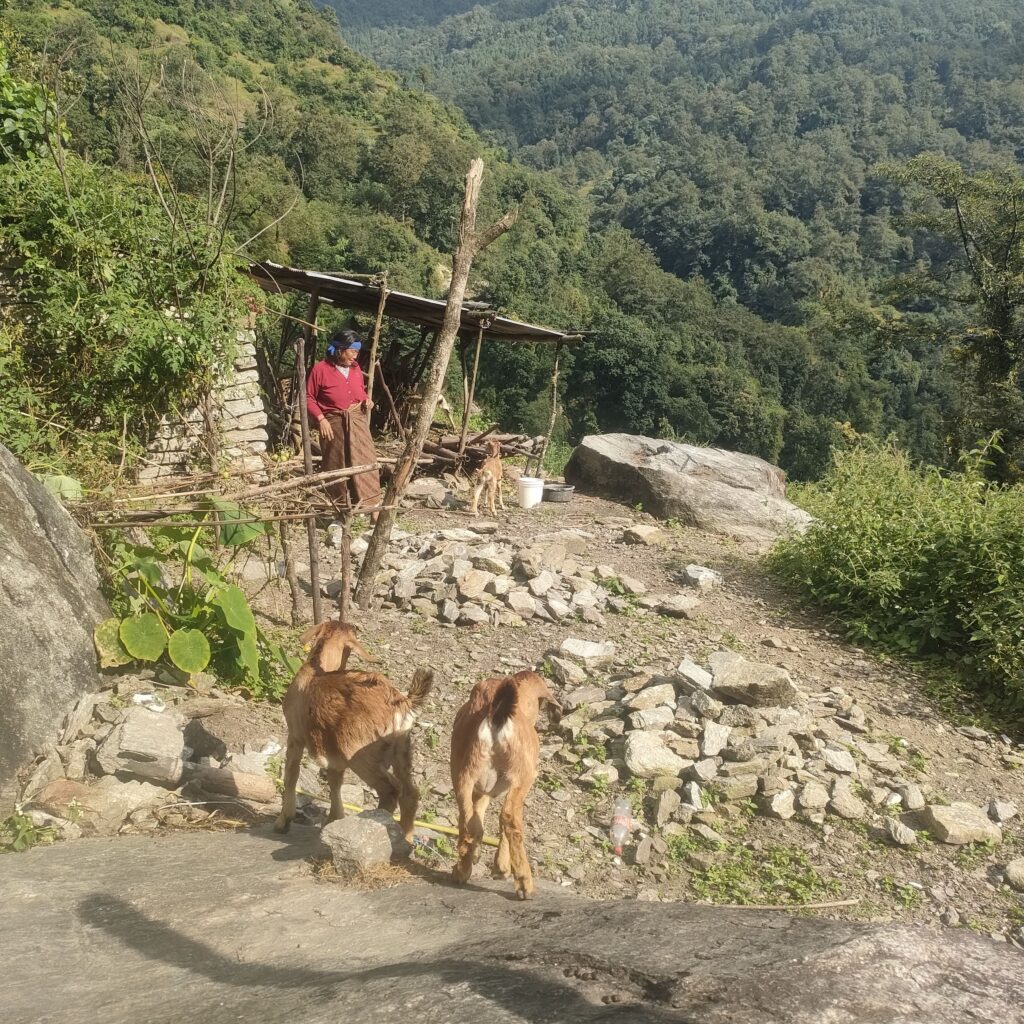 IMG20231021144034
