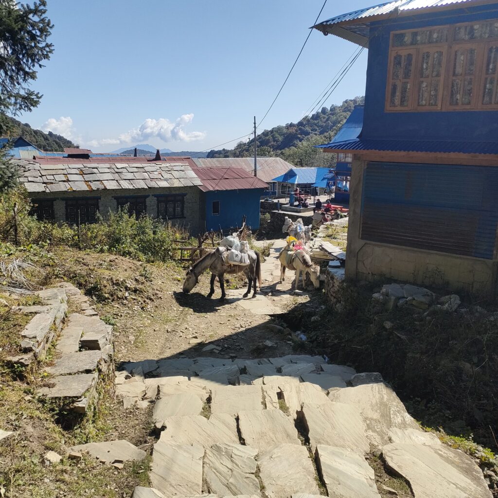IMG20231022131824